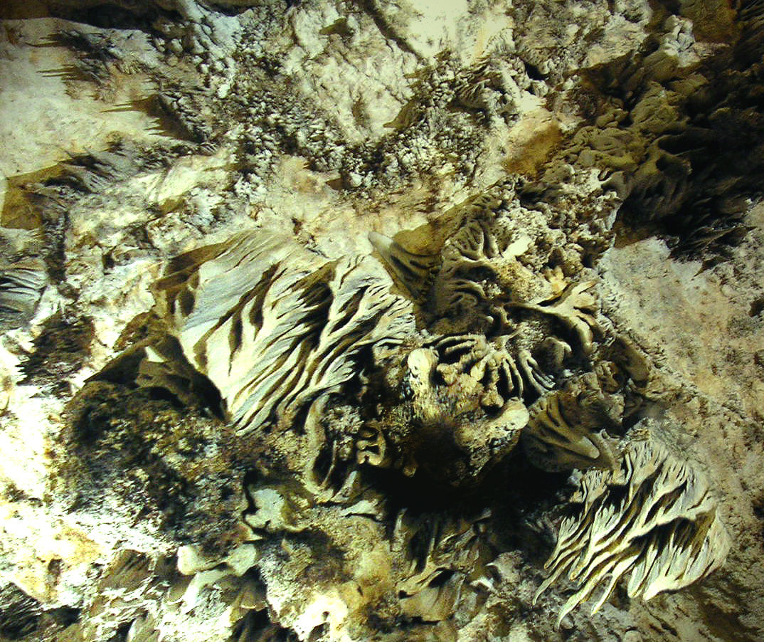 Photoshop Design by Odessa for DesignCrowd (Community Contests) | Design #9131522