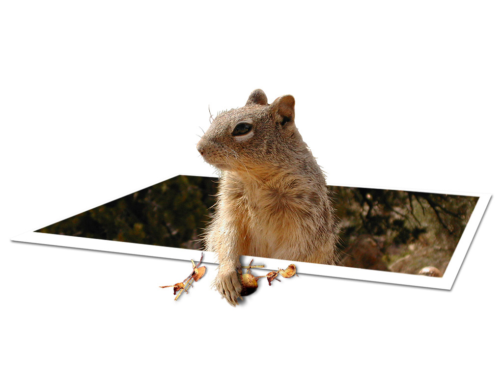 Diseño de Photoshop por Crumbles para DesignCrowd (Community Contests) | Diseño #9138166