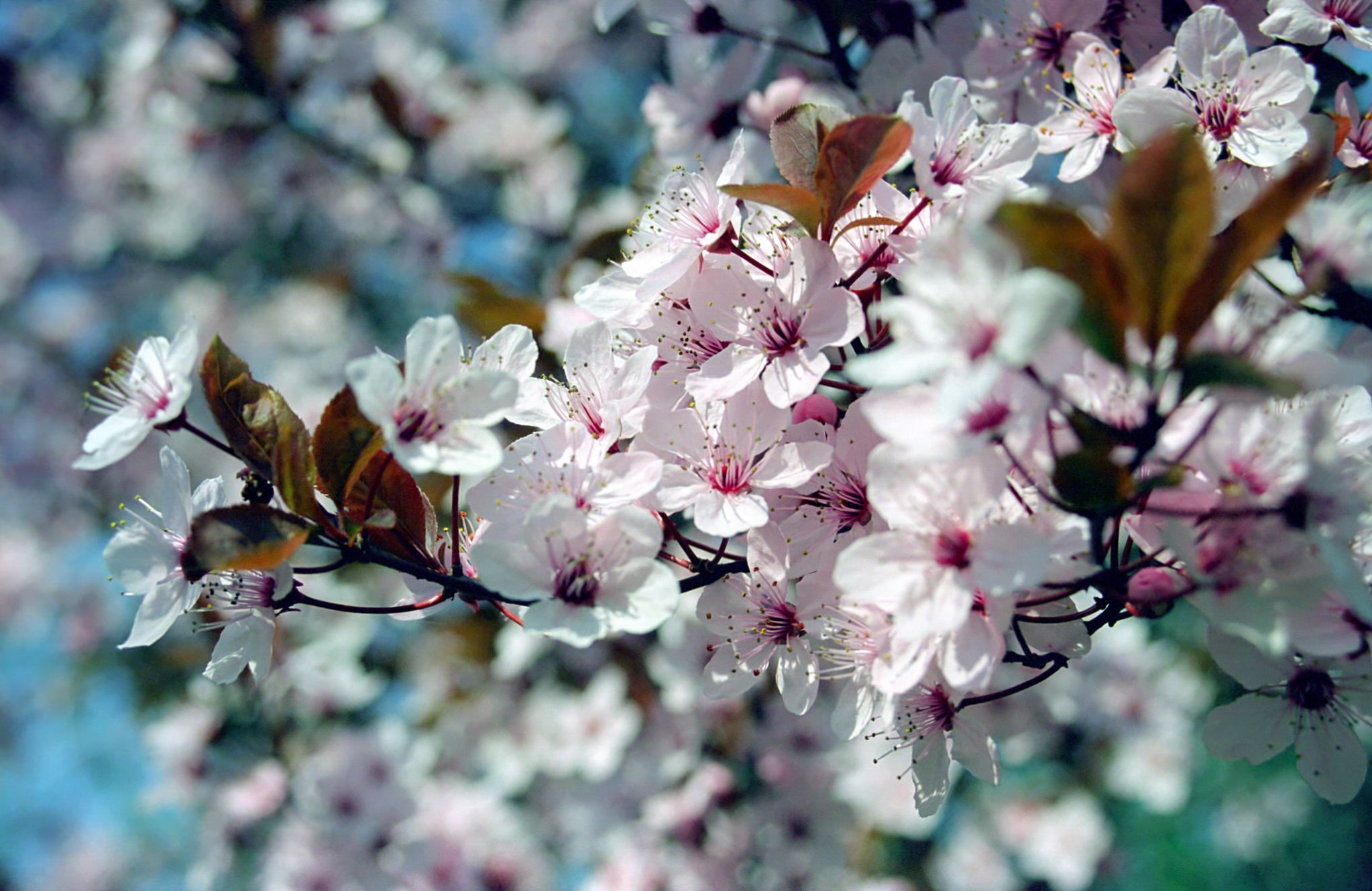 Photography by jochym for DesignCrowd (Community Contests) | Design #9131715
