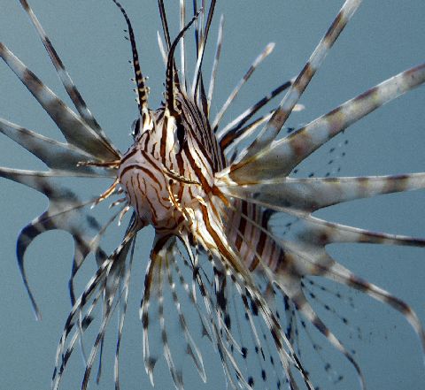 Photography by sns1953 for DesignCrowd (Community Contests) | Design #9137337