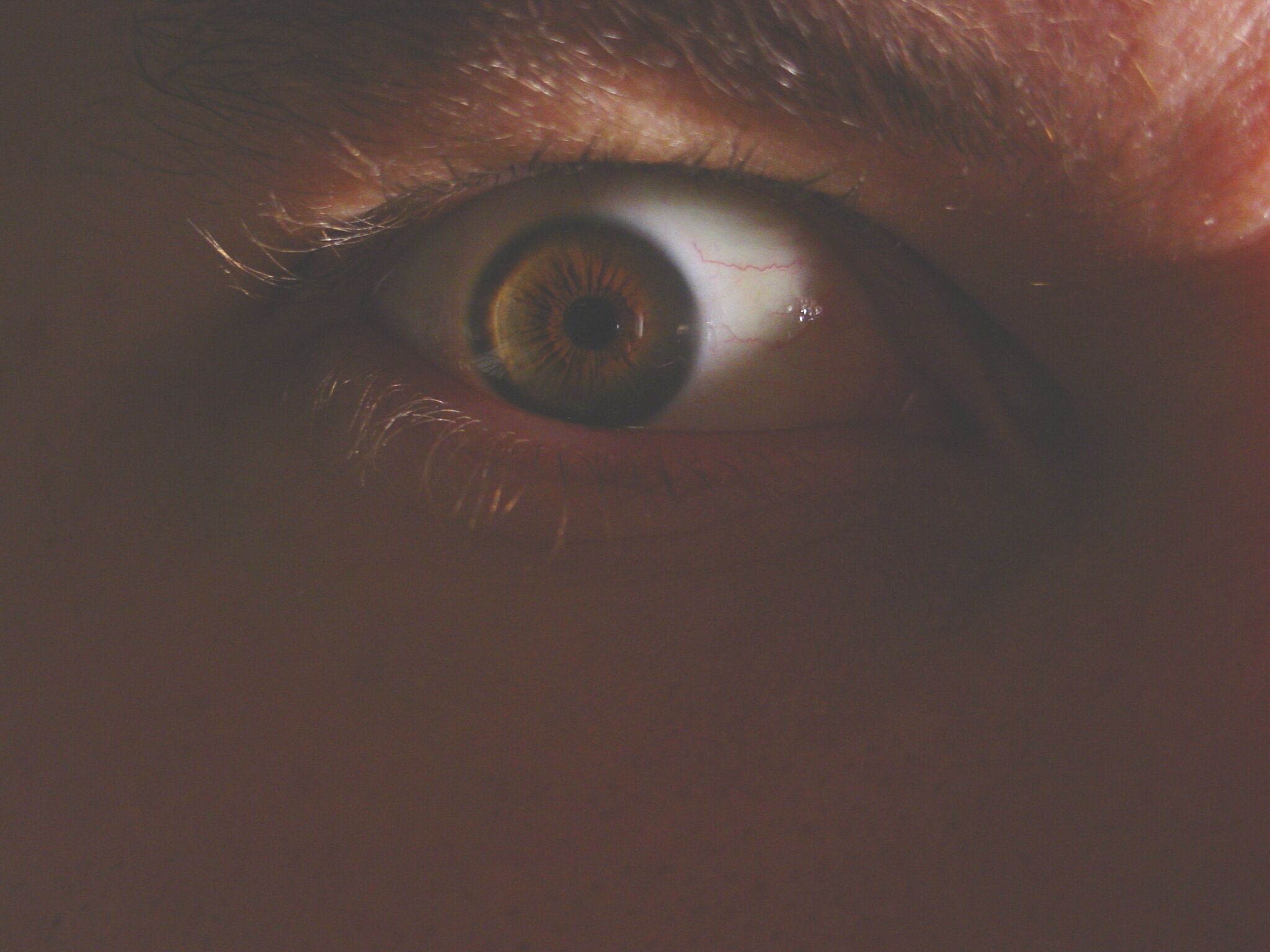 Photography by Floppglopple for DesignCrowd (Community Contests) | Design #9137383