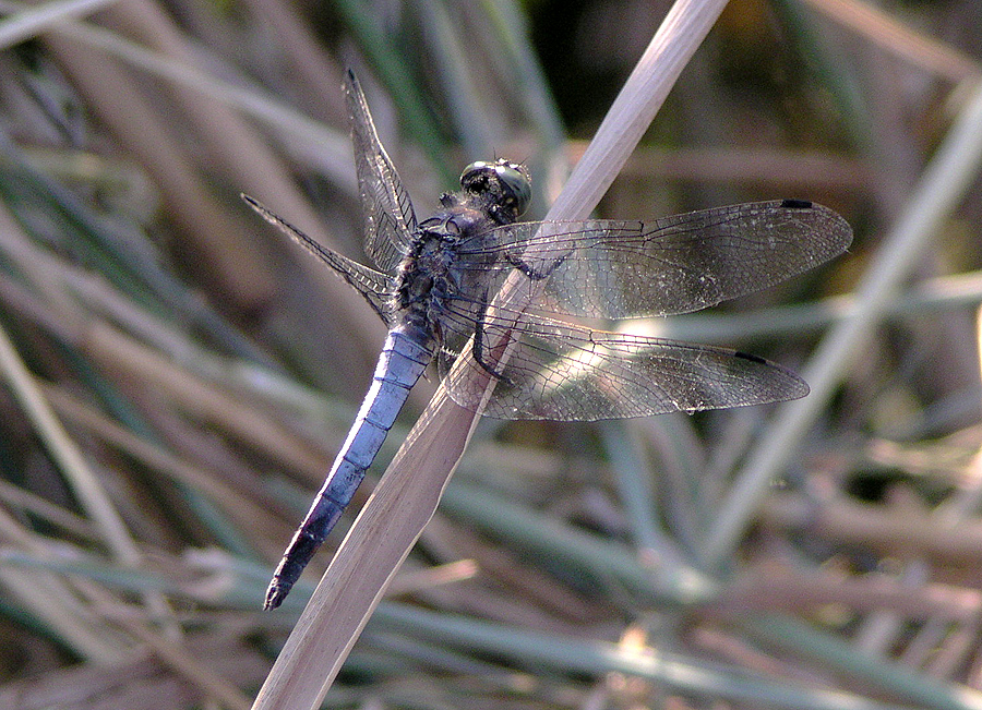 Photography by KChris for DesignCrowd (Community Contests) | Design #9131756