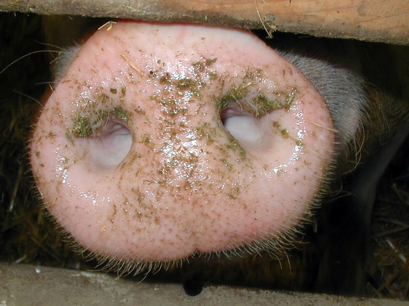 Photography by Tommy1de for DesignCrowd (Community Contests) | Design #9137405