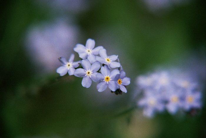 Photography by goblin for DesignCrowd (Community Contests) | Design #9131785