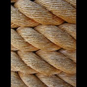 Photography by KarenC