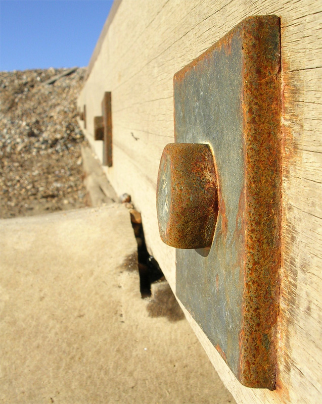 Photographie par Trinity-of-One pour DesignCrowd (Community Contests) | Design #9131877