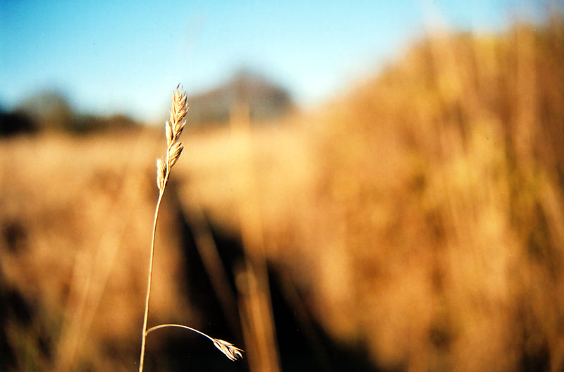 Fotografie von BMCVfreak für DesignCrowd (Community Contests) | Design #9131867