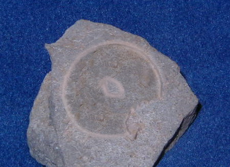 Photoshop Design by gossamer for DesignCrowd (Community Contests) | Design #9127329