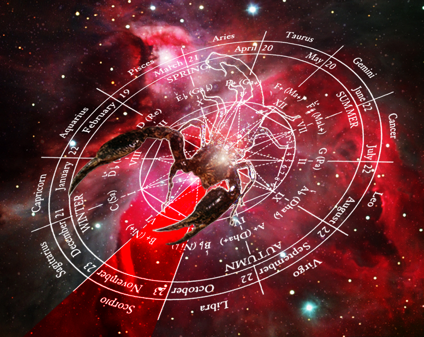 Photoshop Design by BlitzMan for DesignCrowd (Community Contests) | Design #9117854