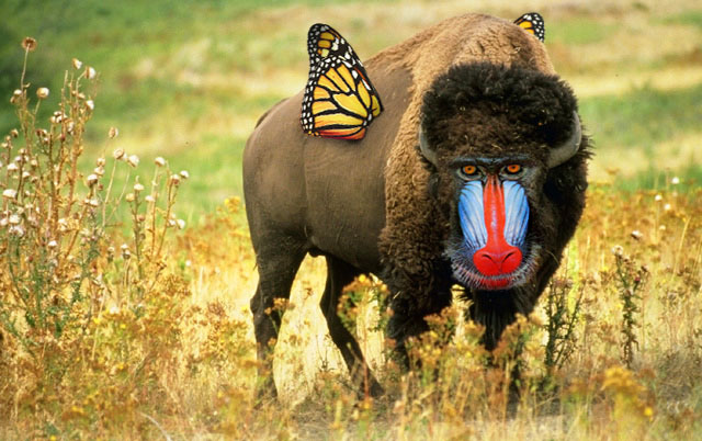 Photoshop Design by mcdj18 for DesignCrowd (Community Contests) | Design #9137902