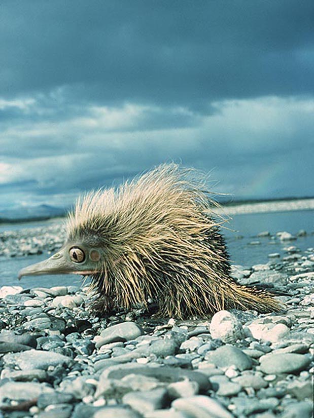 Photoshop Design by rdk for DesignCrowd (Community Contests) | Design #9137917