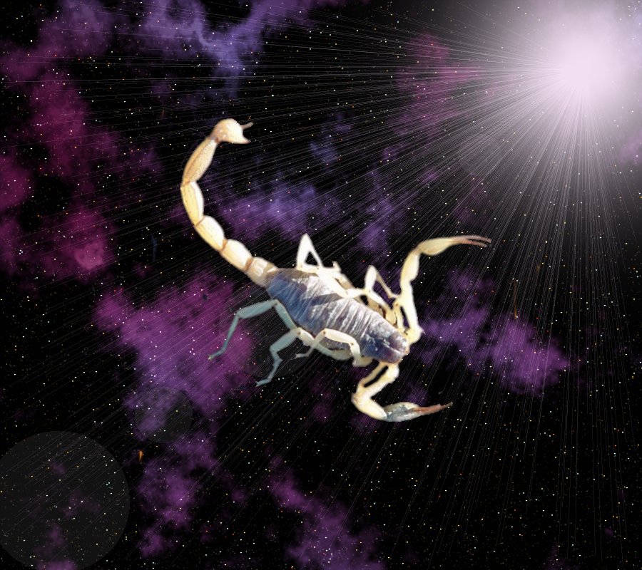 Diseño de Photoshop por TimeTraveler para DesignCrowd (Community Contests) | Diseño #9117886