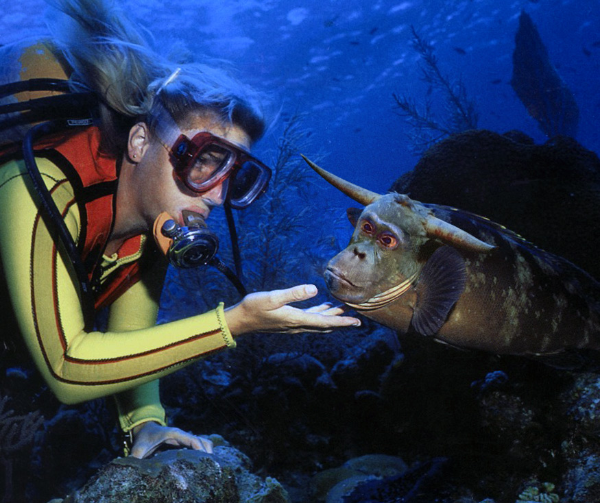 Photoshop-Design von CCZ für DesignCrowd (Community Contests) | Design #9137908