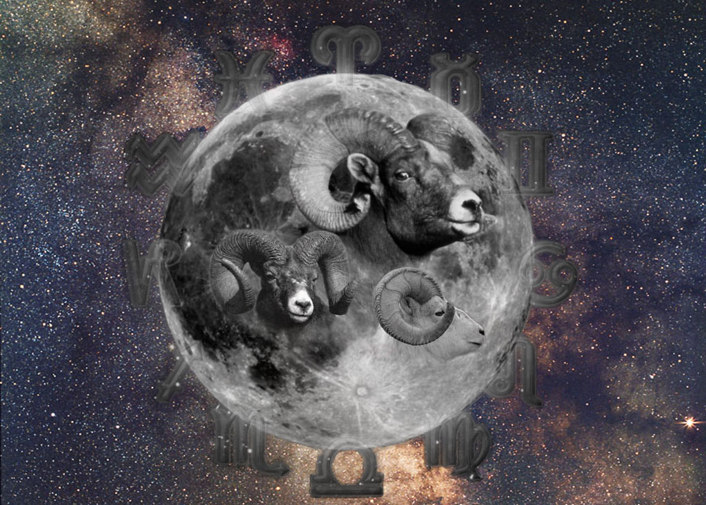 Diseño de Photoshop por DigitalExtreme para DesignCrowd (Community Contests) | Diseño #9117888