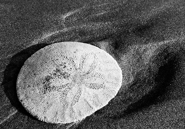 Photographie par mkrets pour DesignCrowd (Community Contests) | Design #9127799