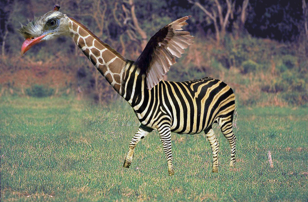 Photoshop Design by dwood58 for DesignCrowd (Community Contests) | Design #9138053