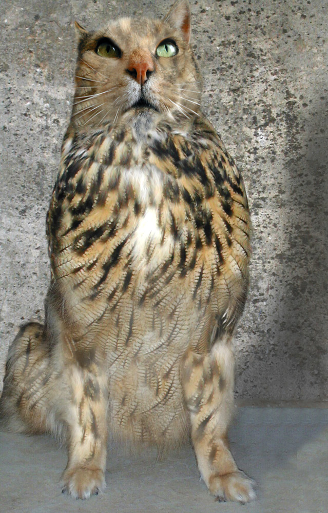 Photoshop-Design von Redbull_UK für DesignCrowd (Community Contests) | Design #9138010