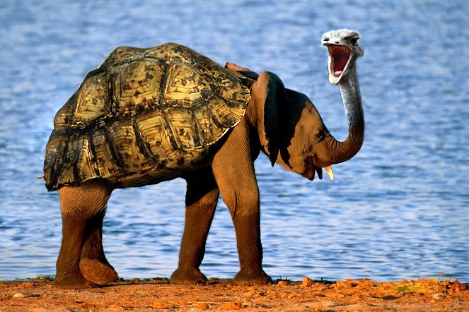 Photoshop-Design von galackz für DesignCrowd (Community Contests) | Design #9138024