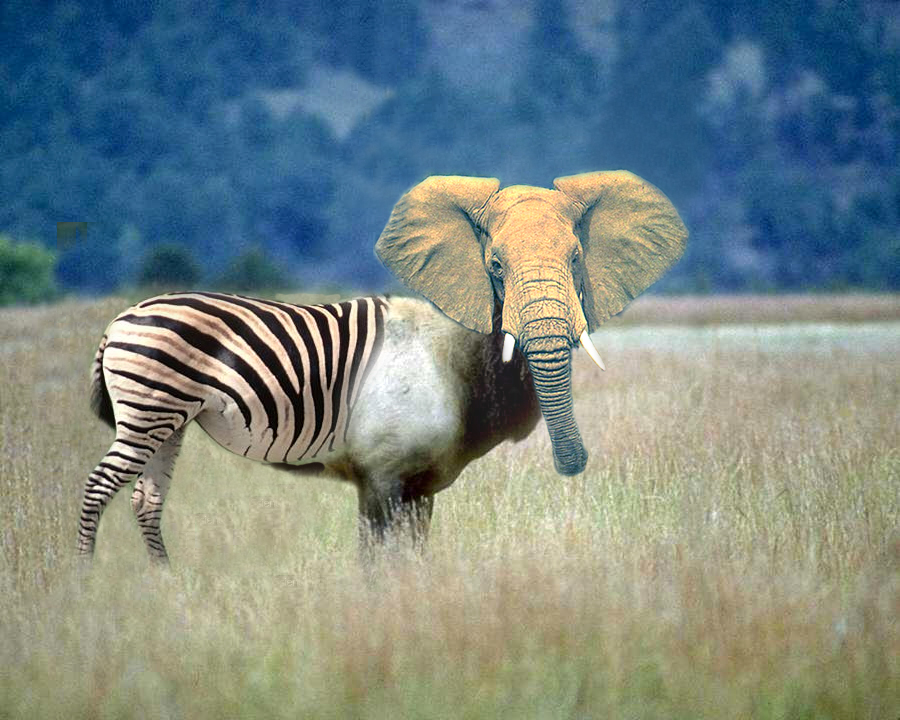 Photoshop Design by GrogAlegutz for DesignCrowd (Community Contests) | Design #9138075