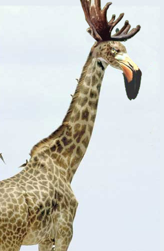 Photoshop Design by Keb for DesignCrowd (Community Contests) | Design #9138011