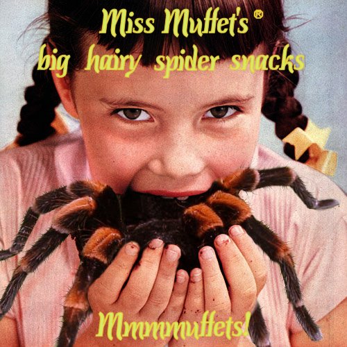 Photoshop Design by Cj for DesignCrowd (Community Contests) | Design #9129740