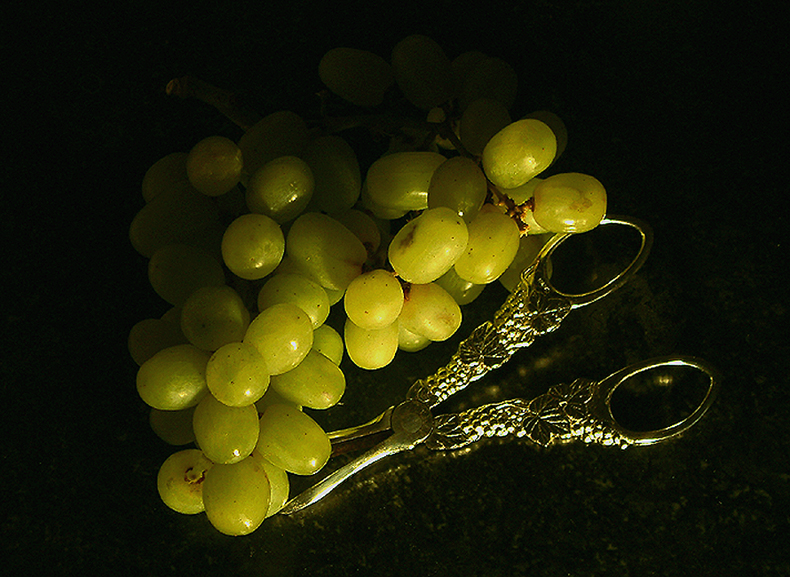 Fotografía por OneHappyFemale para DesignCrowd (Community Contests) | Diseño #9127830