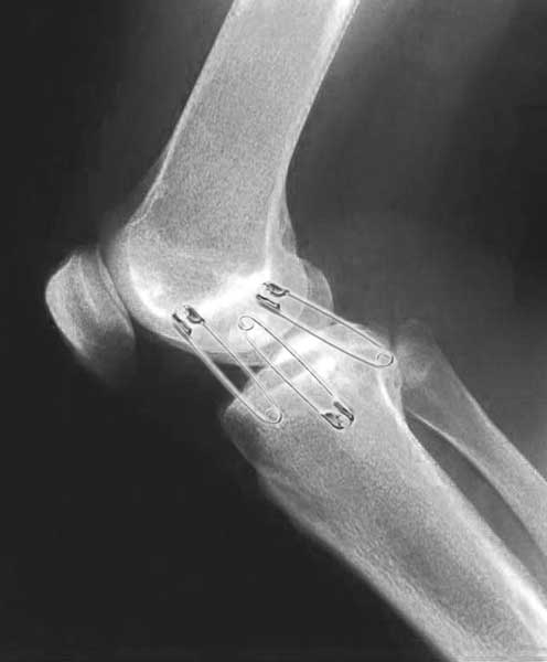 Design Photoshop par GirlWonder pour DesignCrowd (Community Contests) | Design #9129603