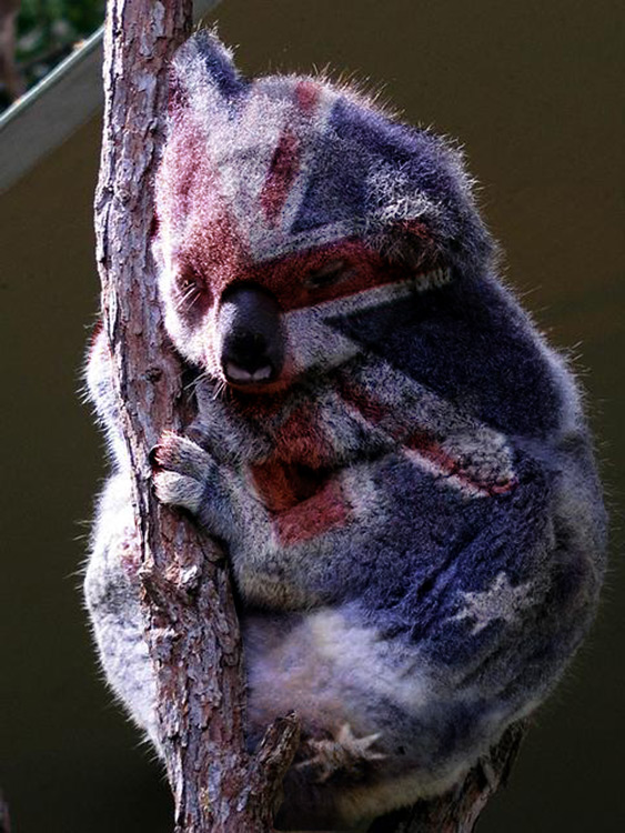 Diseño de Photoshop por Terrence para DesignCrowd (Community Contests) | Diseño #9133788