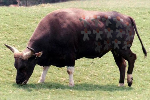 Photoshop Design by mgeoffrey for DesignCrowd (Community Contests) | Design #9133849