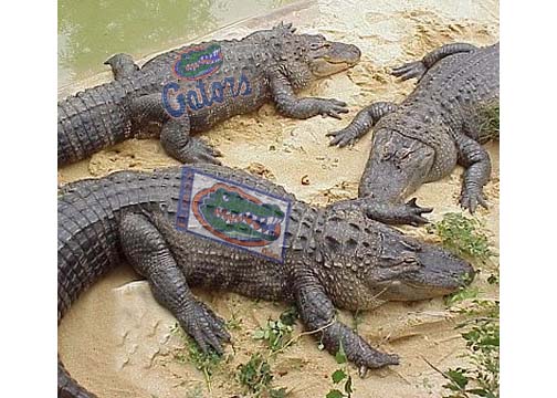 Photoshop Design by ilovejoshx for DesignCrowd (Community Contests) | Design #9133859