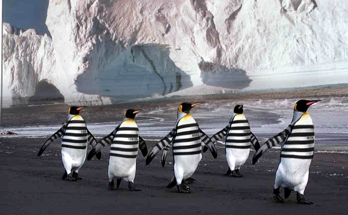 Photoshop-Design von robster für DesignCrowd (Community Contests) | Design #9133837