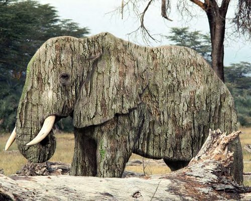 Design Photoshop par Cj pour DesignCrowd (Community Contests) | Design #9133818