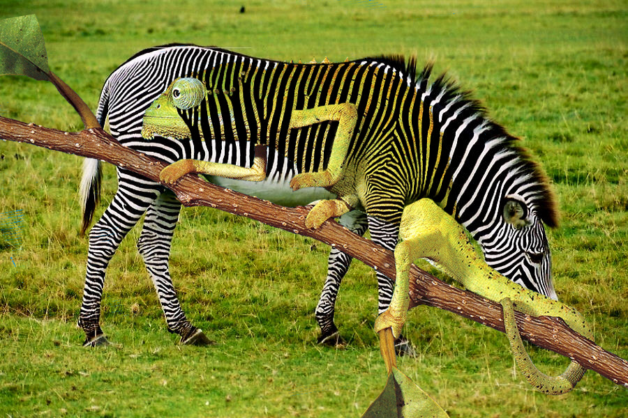 Photoshop Design by maggern for DesignCrowd (Community Contests) | Design #9133889