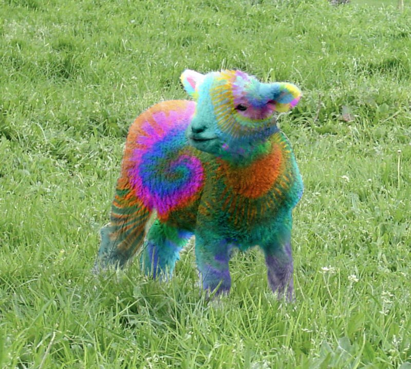 Photoshop Design by Grimtooth for DesignCrowd (Community Contests) | Design #9133873