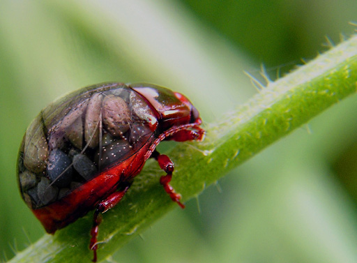 Photoshop Design by bobike for DesignCrowd (Community Contests) | Design #9133903