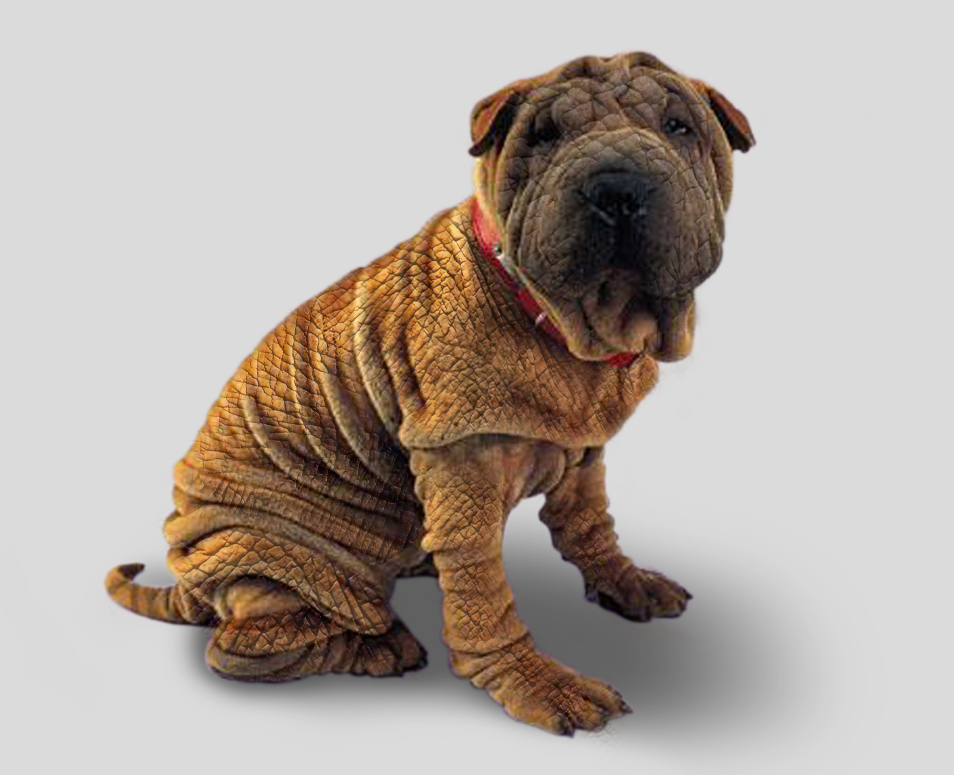 Photoshop Design by sagayaraj for DesignCrowd (Community Contests) | Design #9133884