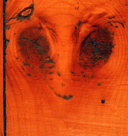 Photography by brunewz for DesignCrowd (Community Contests) | Design #9129034