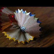 Photography by Oliveia