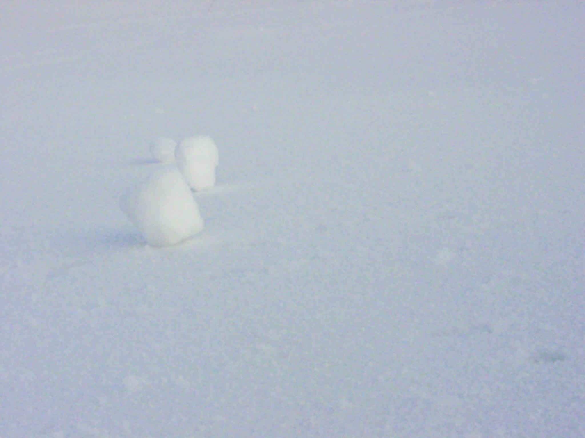 Photography by Floppglopple for DesignCrowd (Community Contests) | Design #9132685