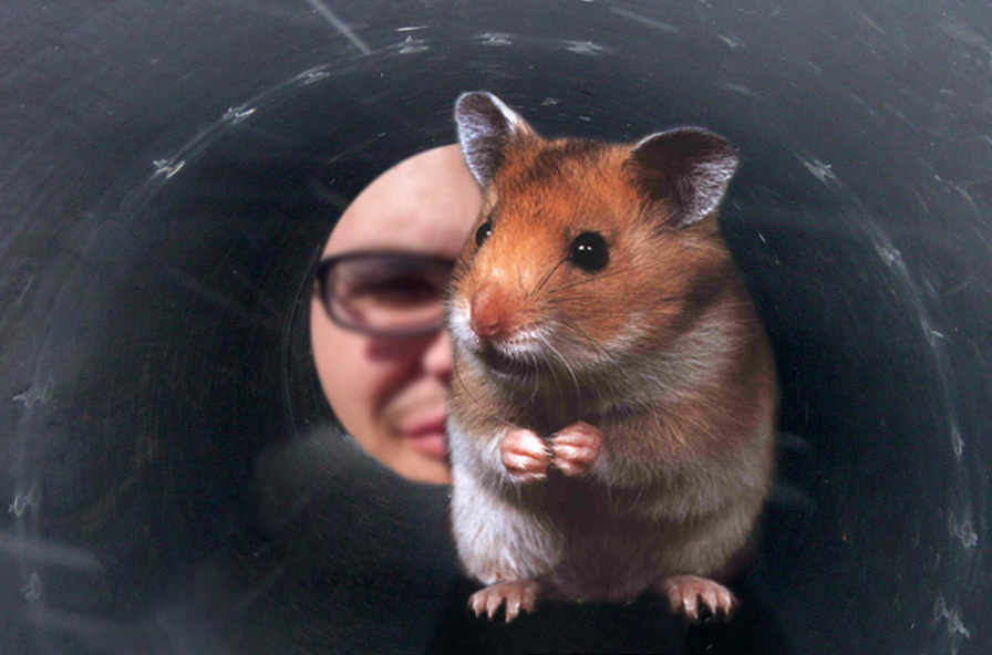 Design Photoshop par isspecialist pour DesignCrowd (Community Contests) | Design #9137030