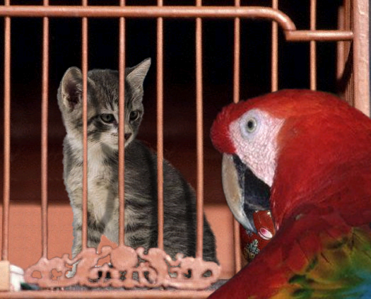 Diseño de Photoshop por cursors para DesignCrowd (Community Contests) | Diseño #9135118