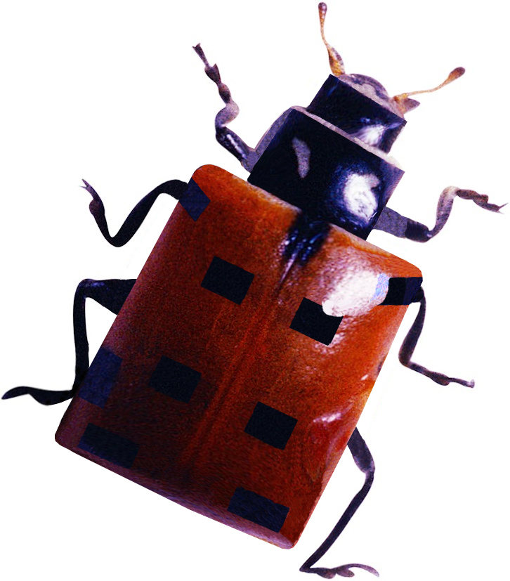 Photoshop-Design von nikki251 für DesignCrowd (Community Contests) | Design #9105286