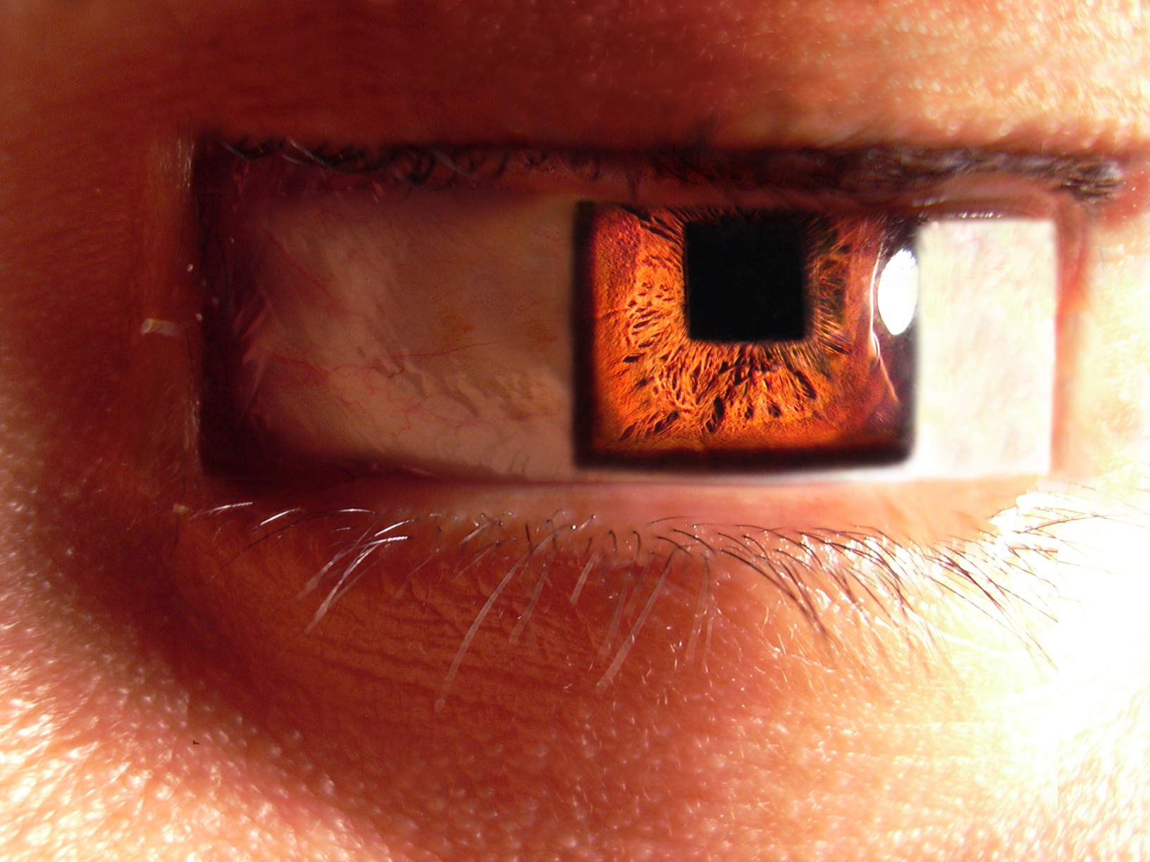 Photoshop Design by maggern for DesignCrowd (Community Contests) | Design #9105260