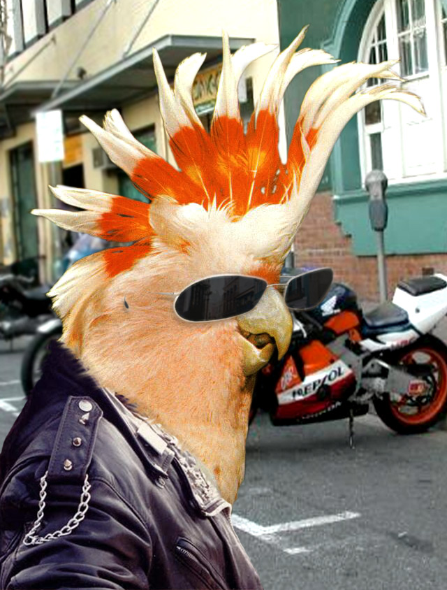 Design Photoshop par isspecialist pour DesignCrowd (Community Contests) | Design #9135122