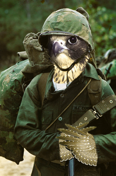 Photoshop Design by elizabethh for DesignCrowd (Community Contests) | Design #9135144