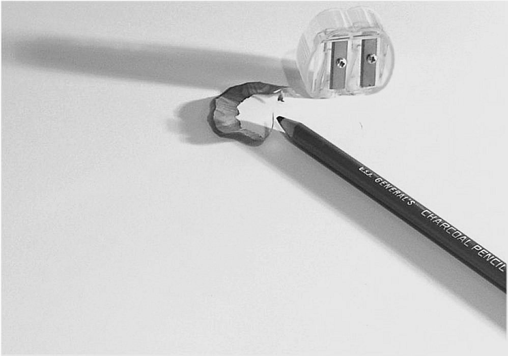 Photography by CrazyMazy for DesignCrowd (Community Contests) | Design #9126654