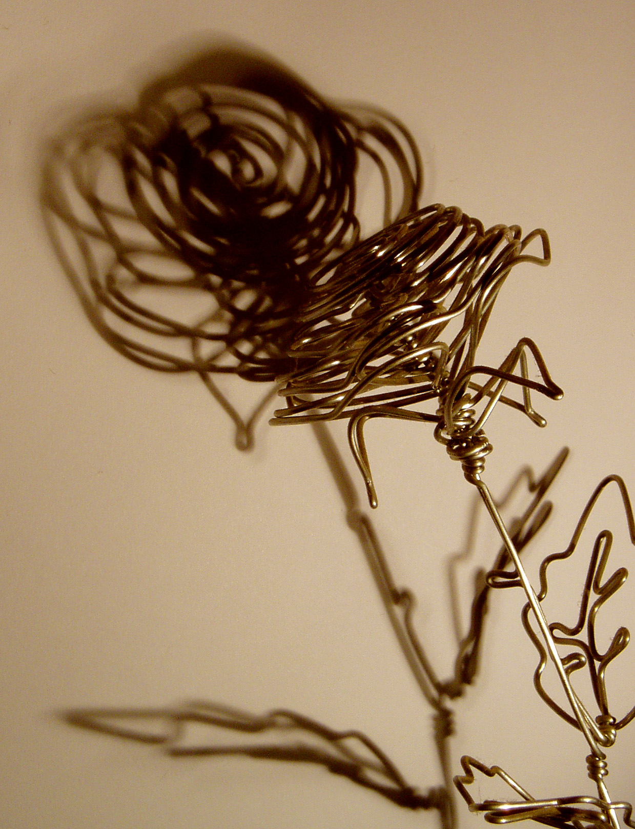 Photography by CerysJ for DesignCrowd (Community Contests) | Design #9136474