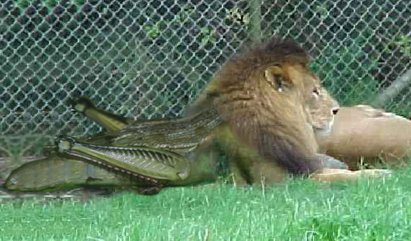 Design Photoshop par mgeoffrey pour DesignCrowd (Community Contests) | Design #9136258