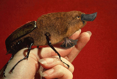 Design Photoshop par frankule pour DesignCrowd (Community Contests) | Design #9136296