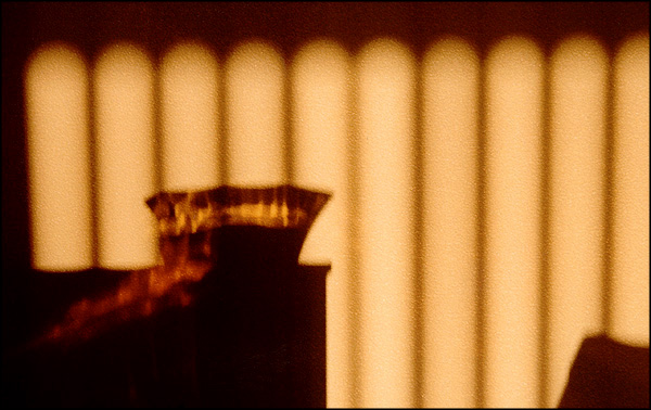 Photography by Jealousy for DesignCrowd (Community Contests) | Design #9136473